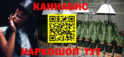 PSILOCYBIN Заводоуковск